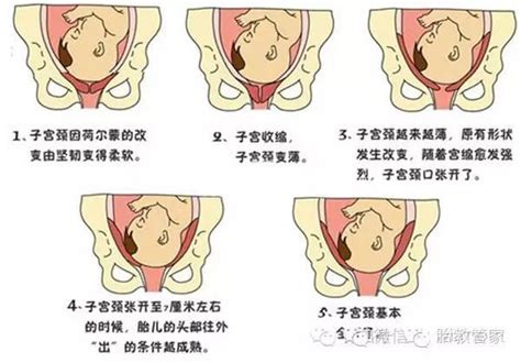 生孩子的方法|图解：生娃的全过程，看完就不怕了！